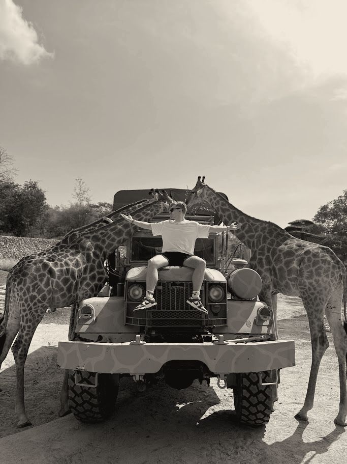 Joakim on top of a safari truck with his arms spread wide, two giraffes beside the truck.